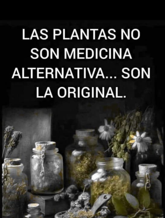 Naturopatía y bienestar 1