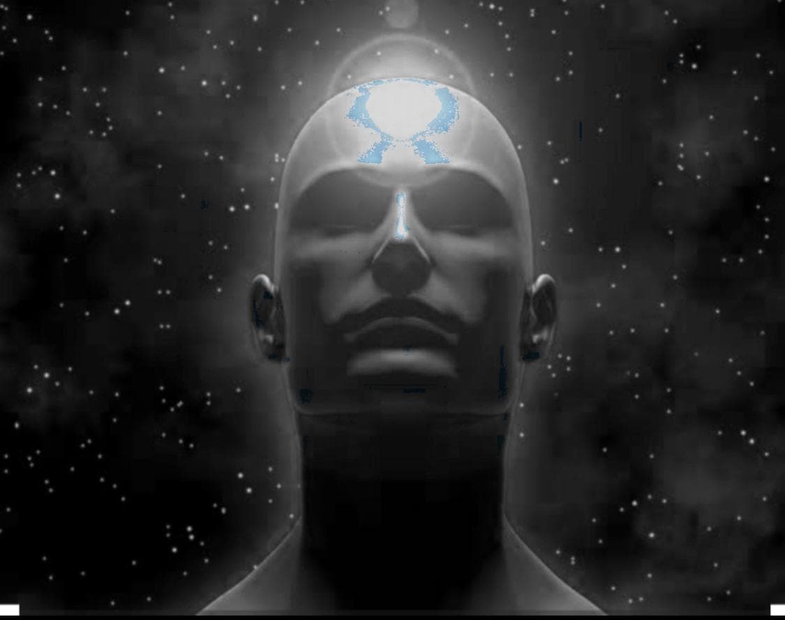Entrenamiento Mental: La Base del Rendimiento