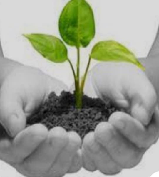 Naturopatía y bienestar 1