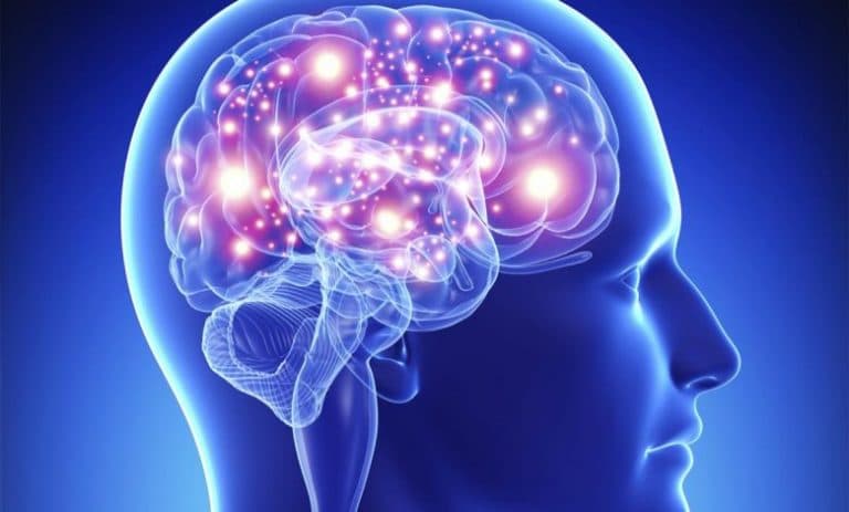 Ilustración del cerebro y la neuroplasticidad