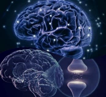Terapia de estimulación neurosensorial